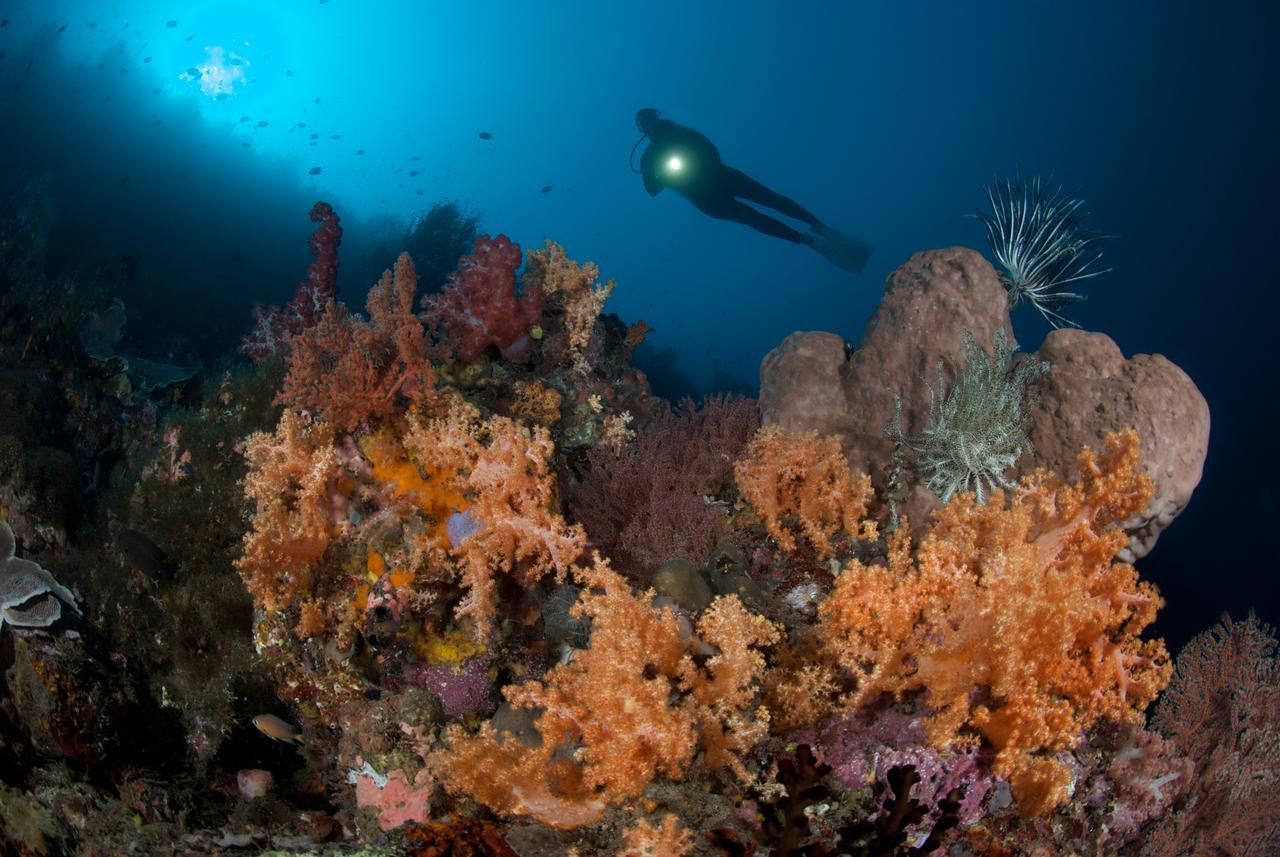 Murex Dive Resort Manado Luaran gambar